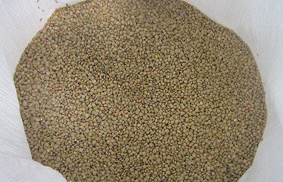 Lentil After Processing.jpg